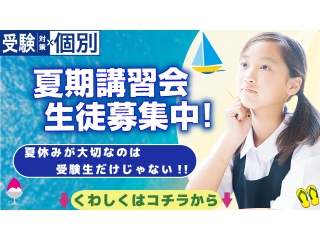 夏の花